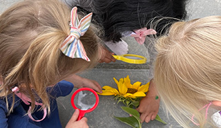 preschoolers looking at a flower with a magnifying glass